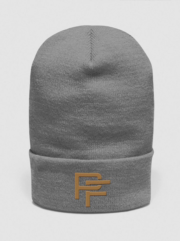 Cuffed Beanie (Grey) product image (1)