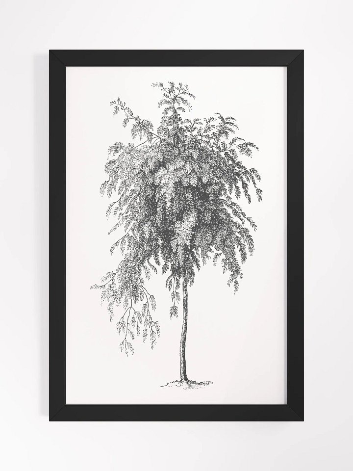 Woodland Trees #3 Framed Print product image (1)