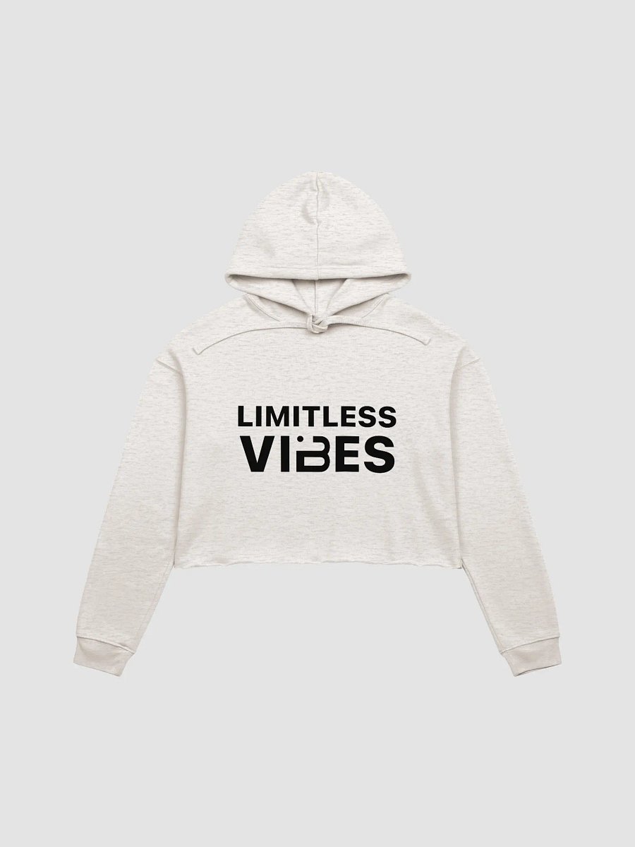 BUIII Limitless Vibes Fleece Crop Hoodie product image (1)