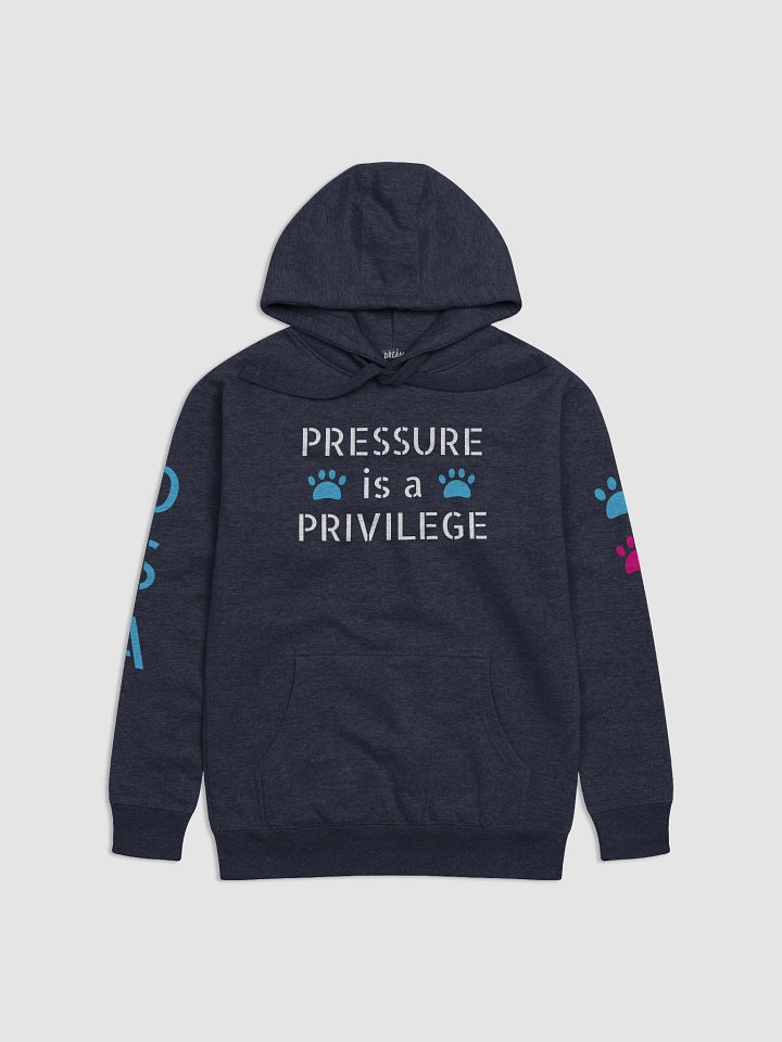 PRESSURE IS A PRIVILEGE HOODIE product image (7)