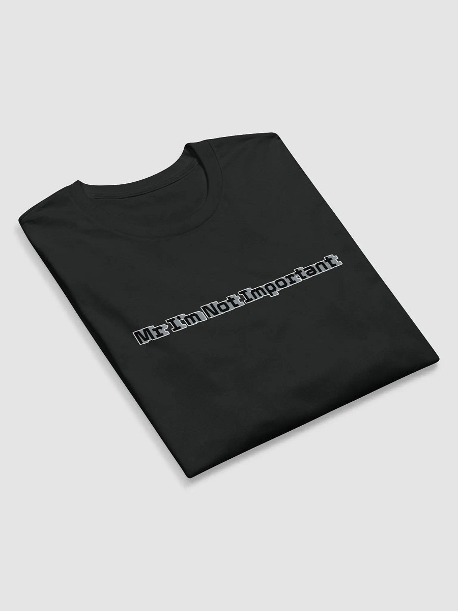 Premium Fitted Long Sleeve Crew - Mr I'm Not Important product image (5)