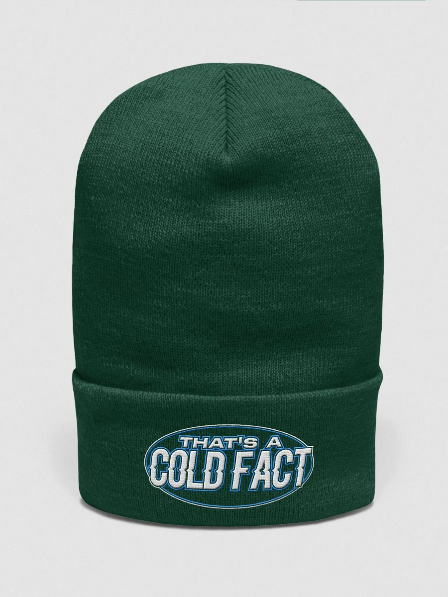 "THAT'S A COLD FACT" Beanie product image (9)
