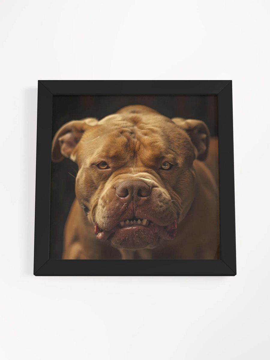 Mad Pitbull product image (49)