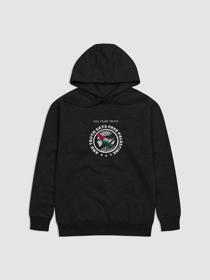 Free Palestine Unisex Hoodie | Evil fears truth, and truth says: Free Palestine. product image (3)