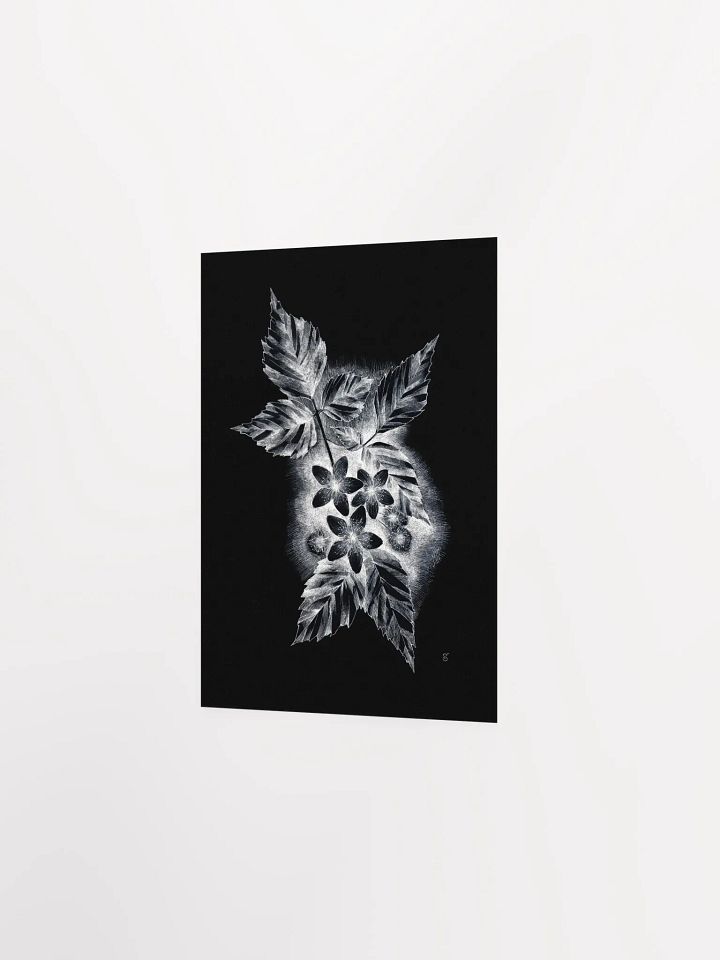 Botanical Bliss Matte Poster - Dark Jasmine product image (2)