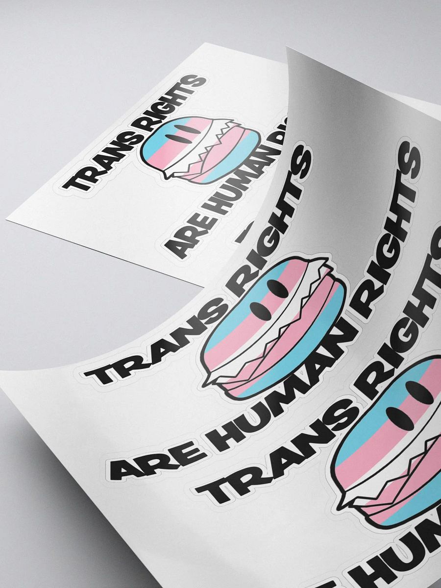 Trans Rights Stickers (2-pack) product image (4)