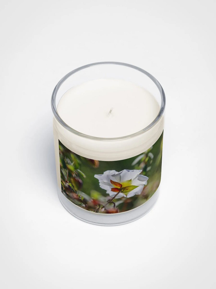 🕯️ Candle – Rockrose in Bloom, Springtime at Rayol Garden product image (3)