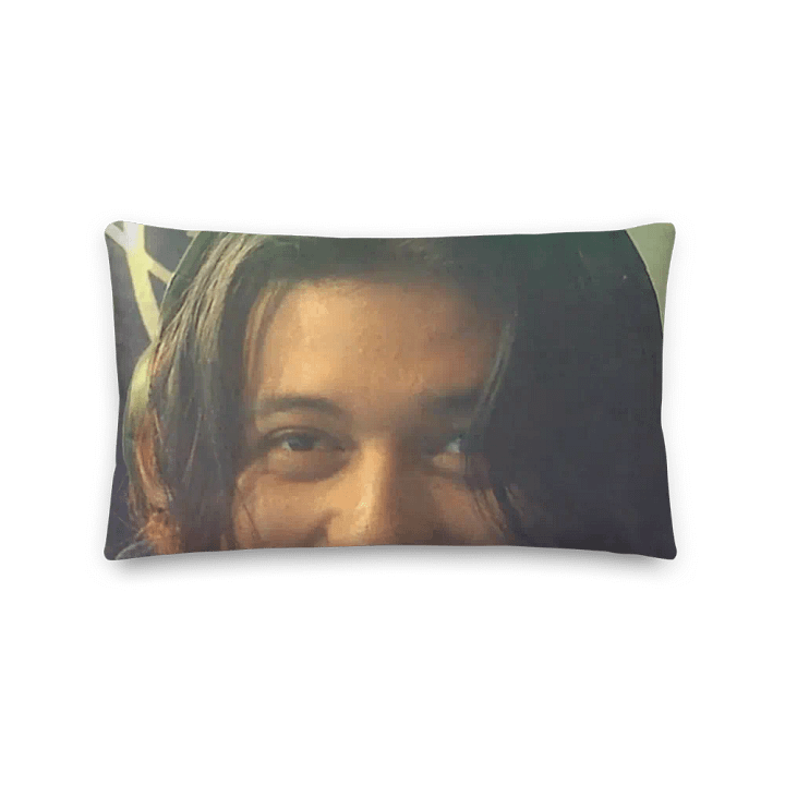wtf pillow product image (1)