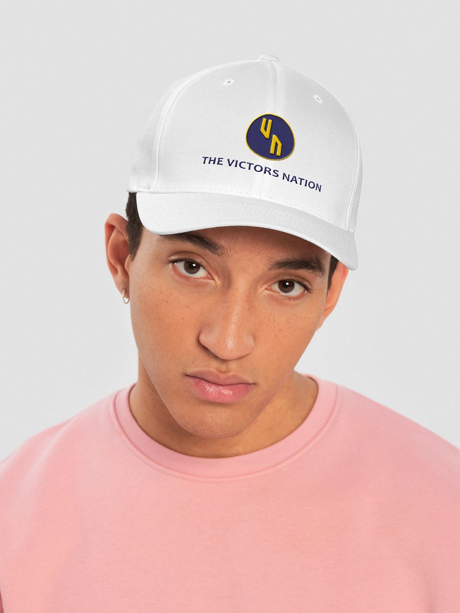 VN Logo Fitted Hat product image (5)