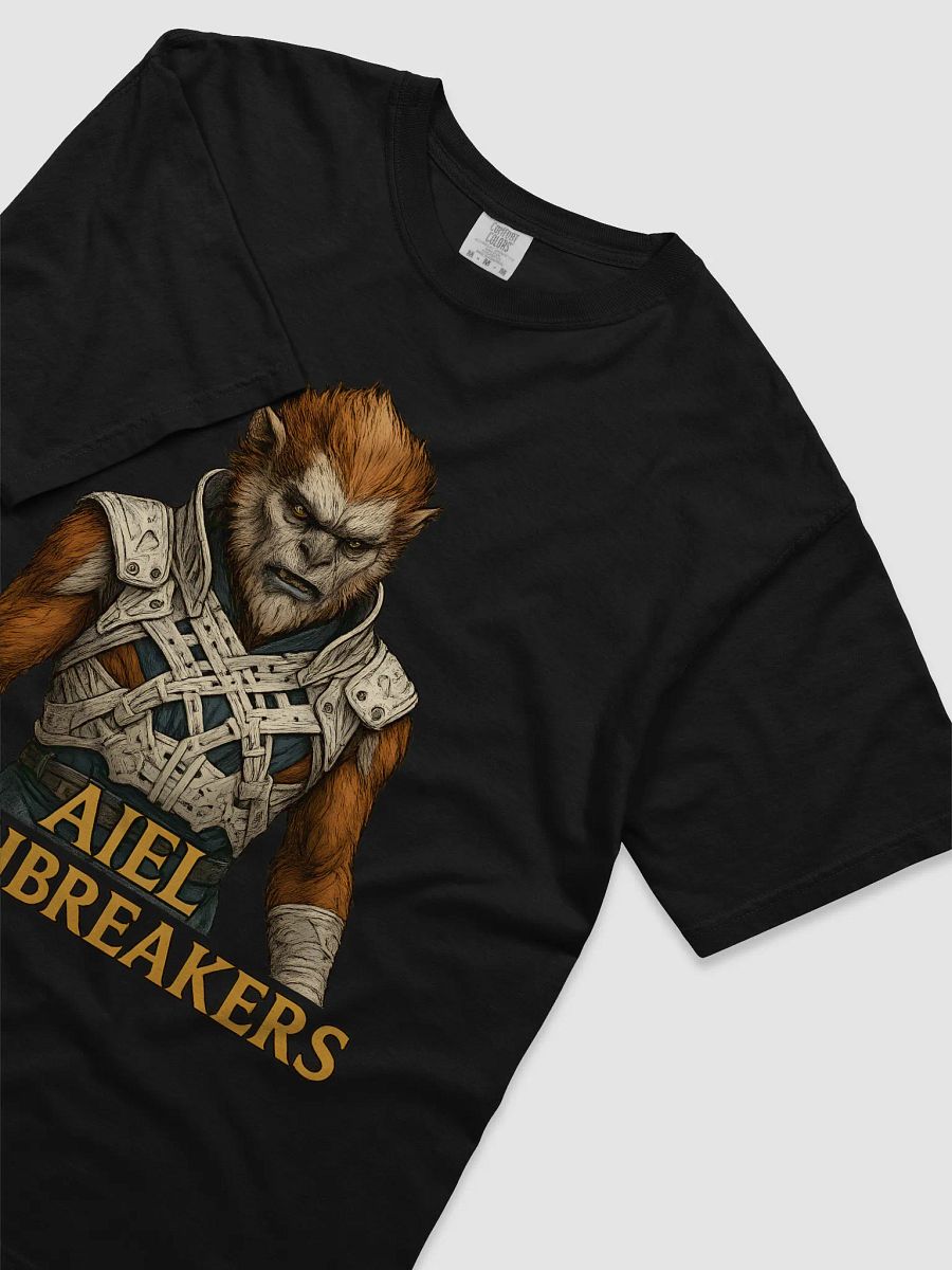 Eelfinn T-Shirt - Wheel of time - AielOathBreakers product image (32)