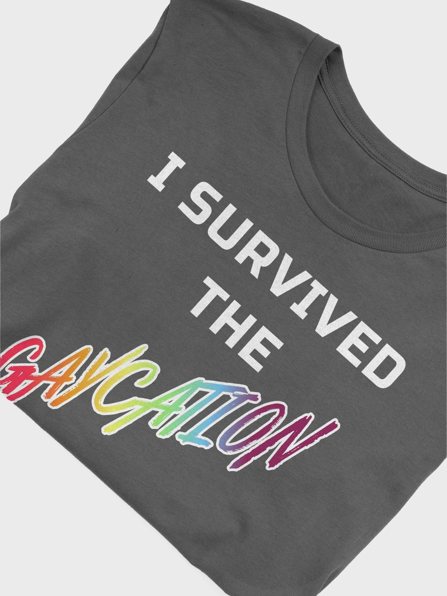 Gaycation Survival T-Shirt product image (50)