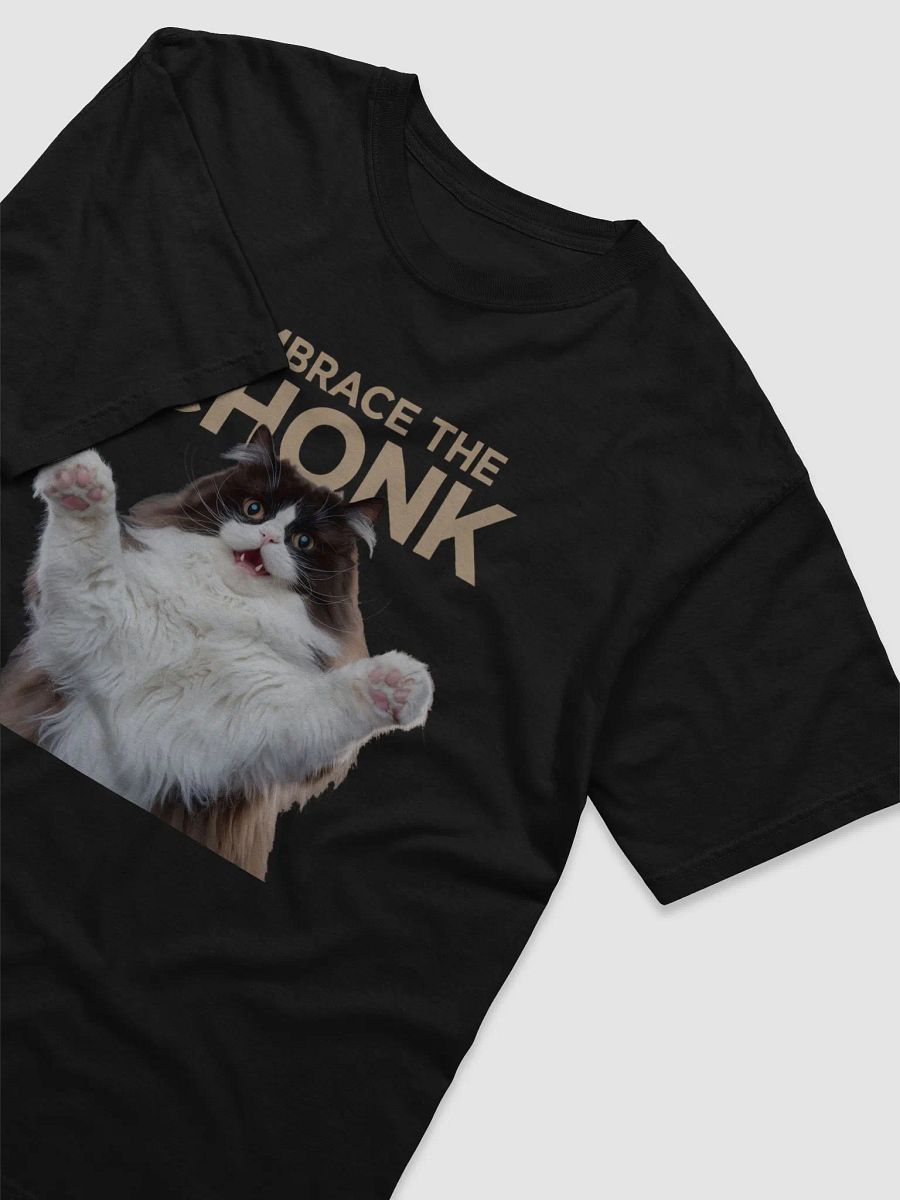 Embrace the Chonk Champion Heavyweight Tee (Comfort Colors) product image (3)