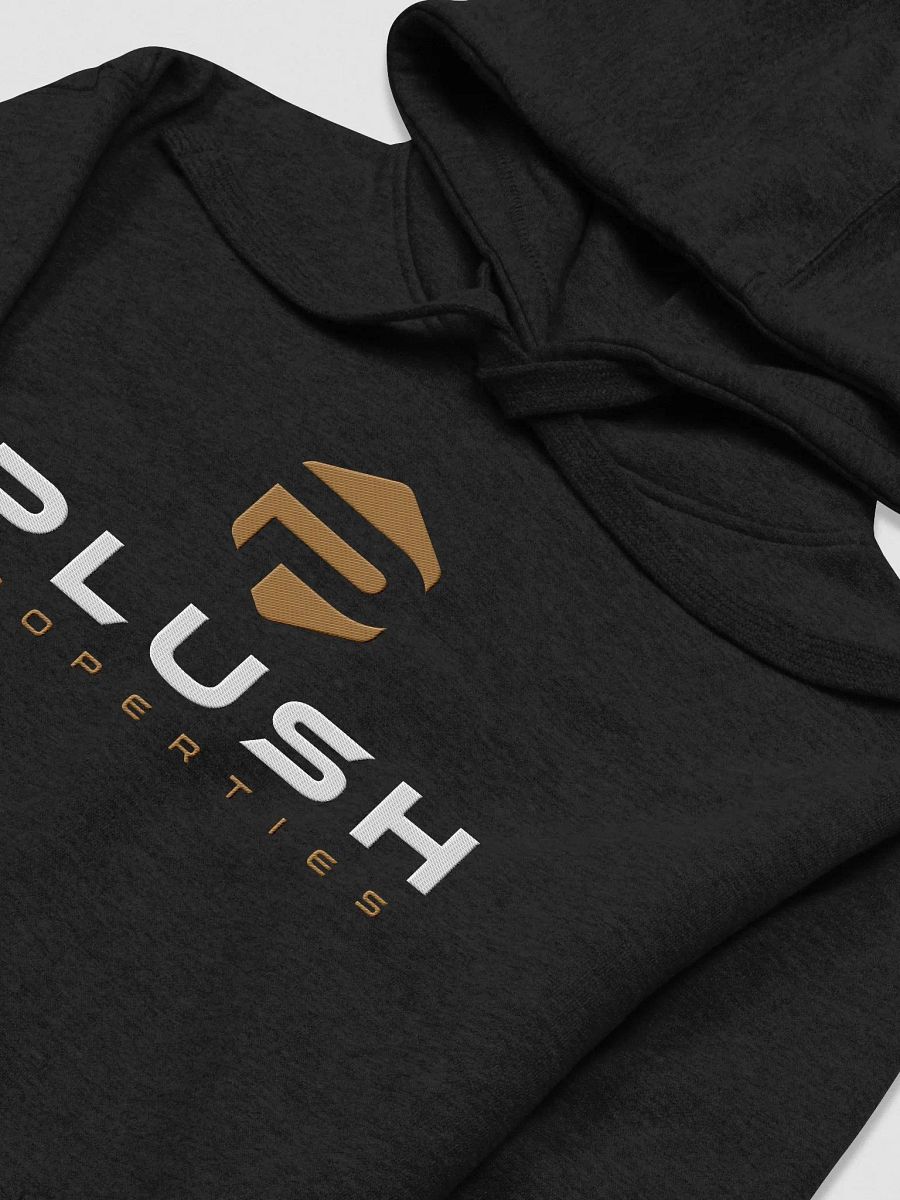 Plush Unisex Embroidery Hoodie product image (3)
