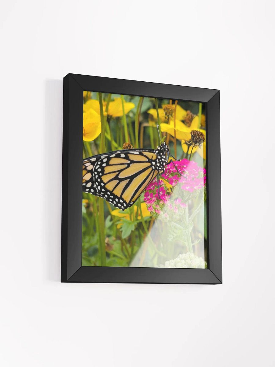 Tropical Monarch Butterfly Framed Matte Poster product image (3)