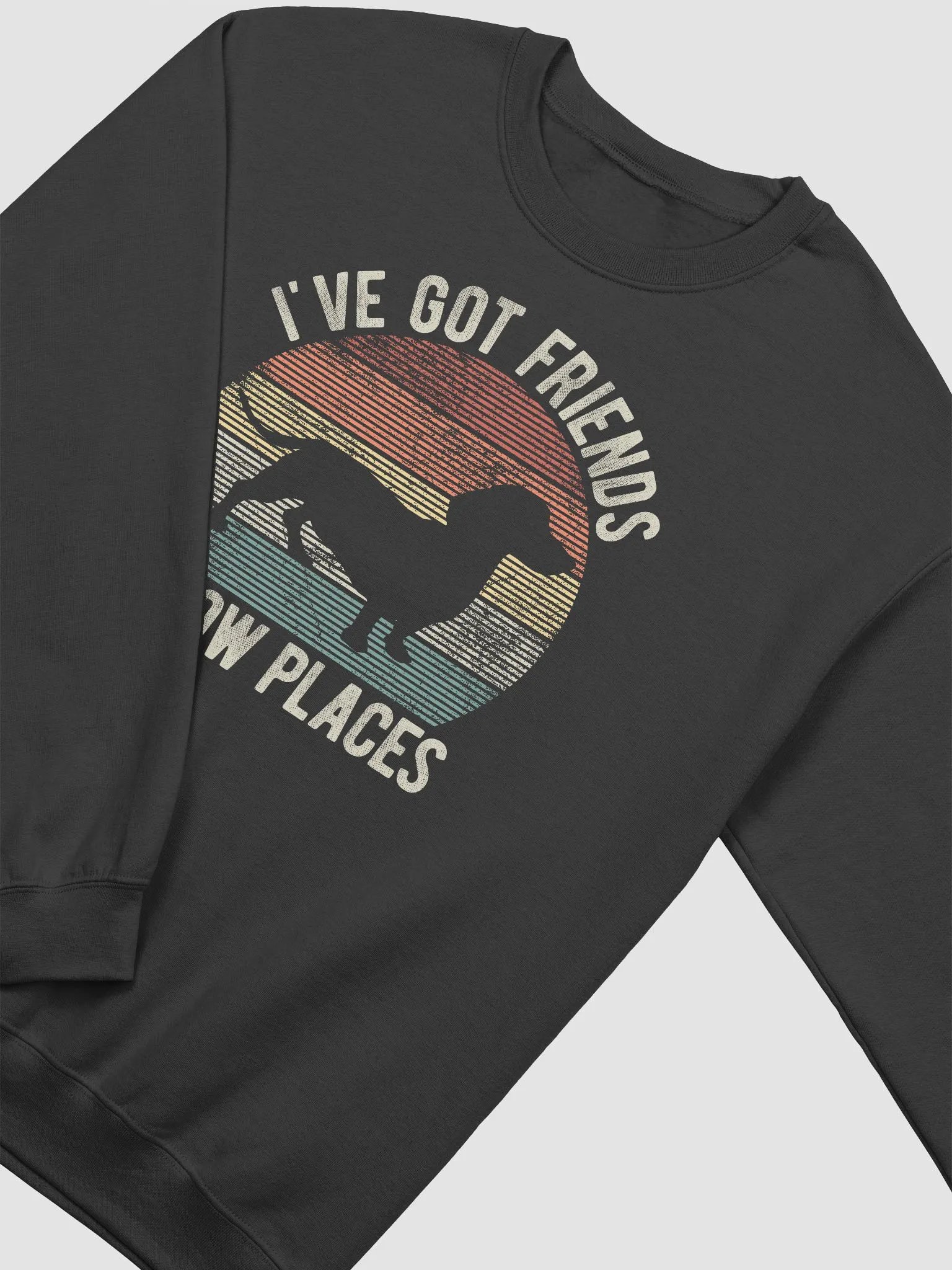 I've Got Friends in Low Places Dachshund Sweatshirt | Funny Sweatshirt for Doxie/Wiener Paw-rents product image (4)