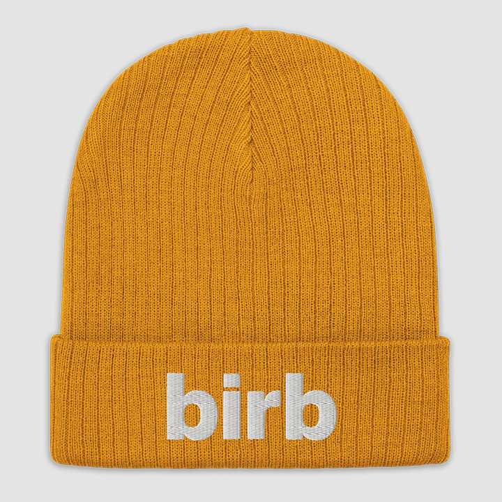birb beanie product image (2)