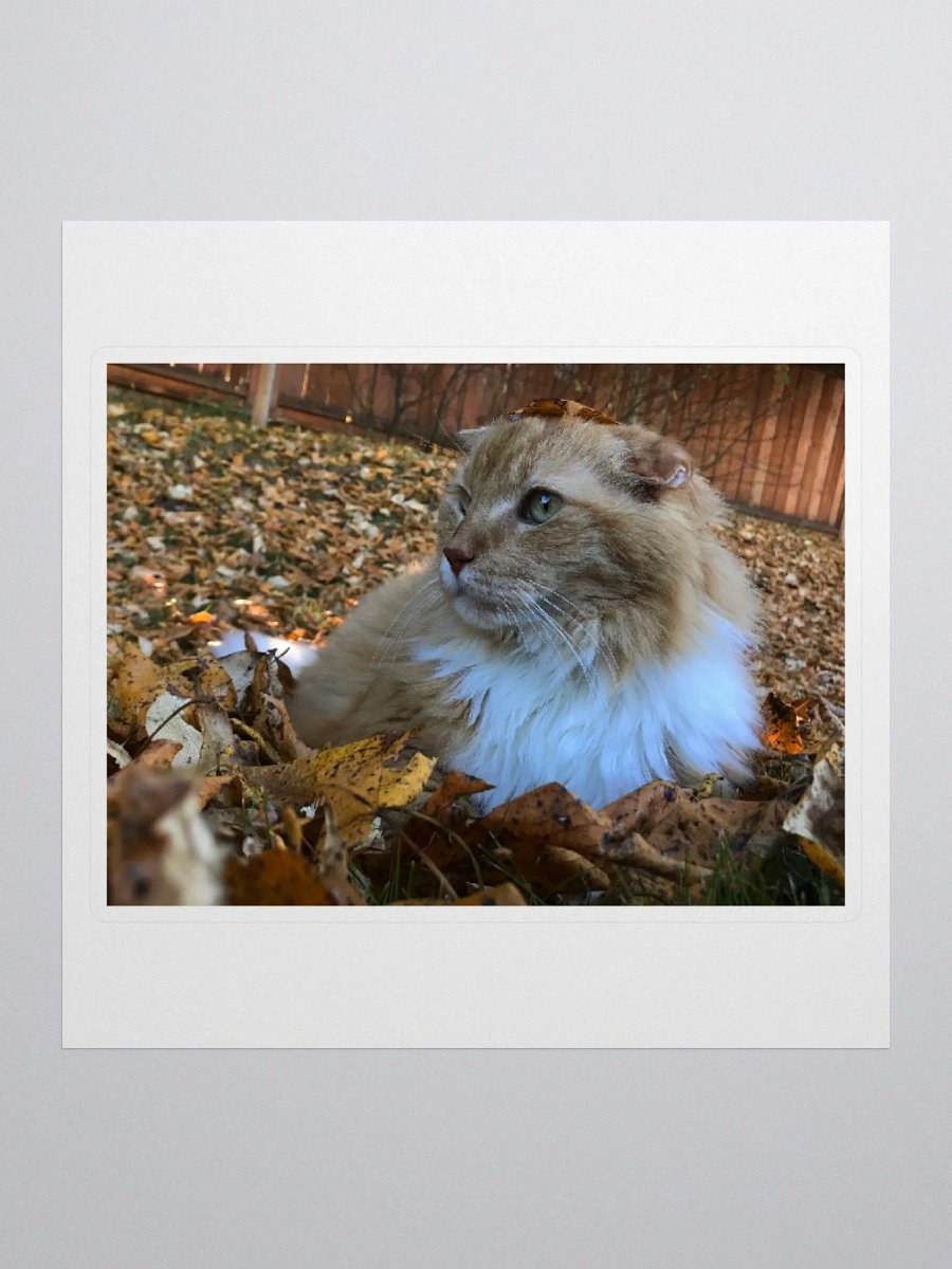 Autumn Boy Sticker product image (1)