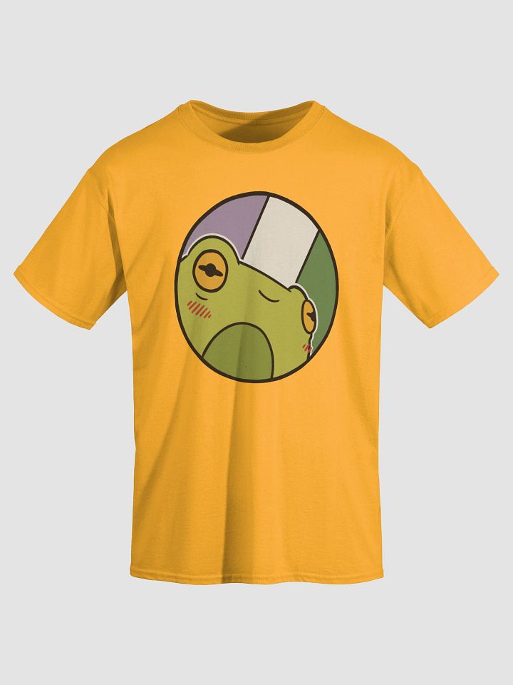 t-shirt : froge genderqueer product image (2)