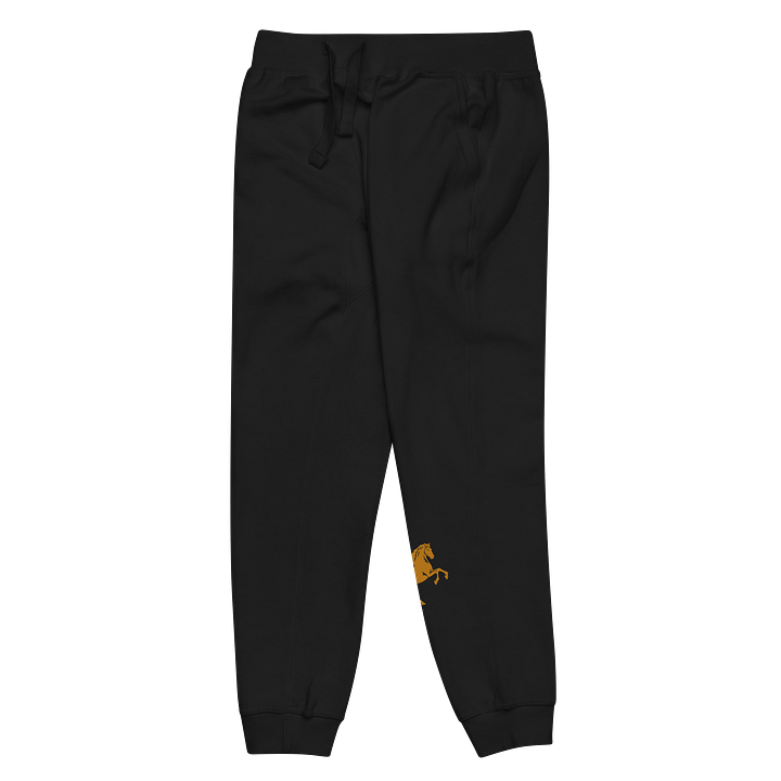 GOLD HORSE product image (2)
