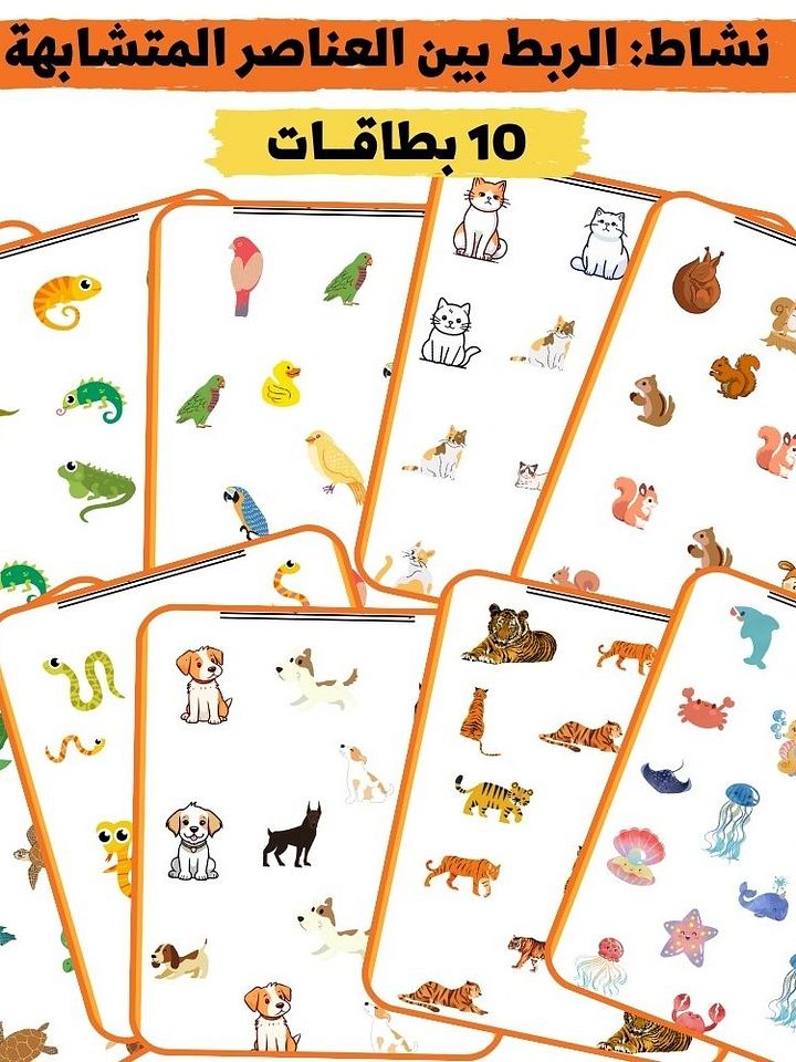 نشاط: 10 بطاقات ملوّنة | الربط بين العناصر المتشابهة - pdf product image (1)