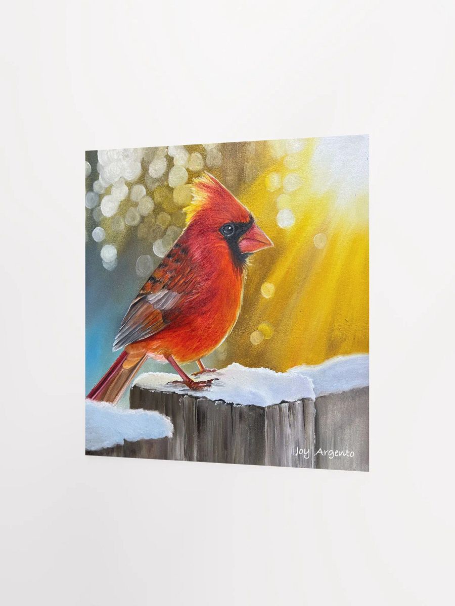 Cardinal in the Sunshine Print product image (4)