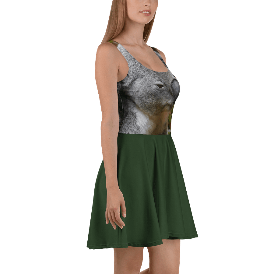 Loss Dress product image (3)