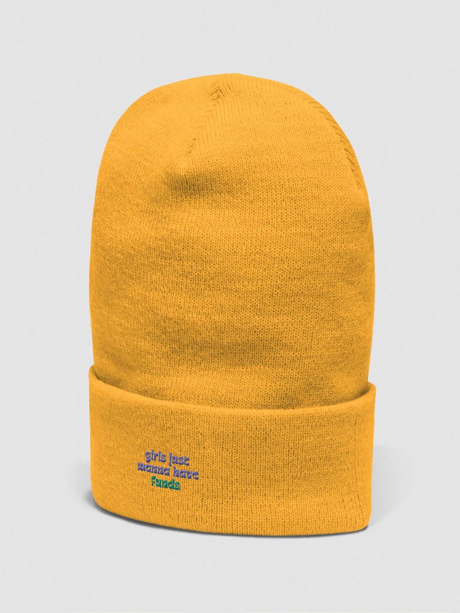 Funds Frenzy Beanie (Girls Just Wanna Edt.) product image (5)