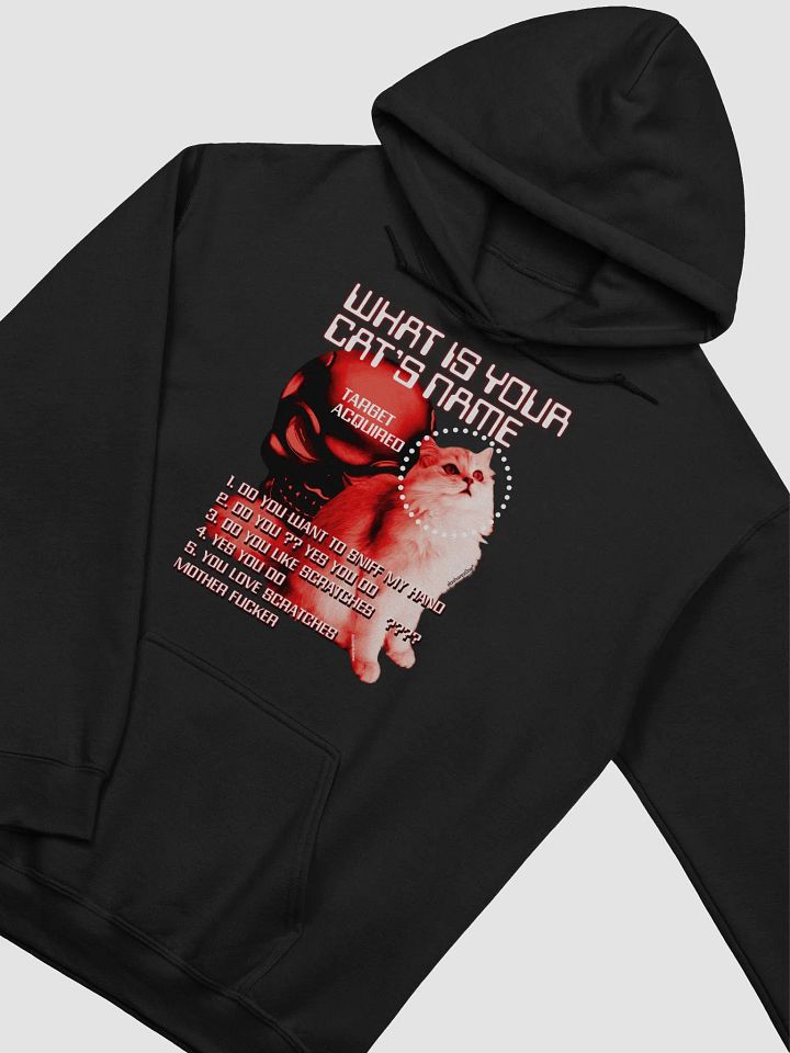 WHAT IS YOUR CATS NAME HOODY product image (2)