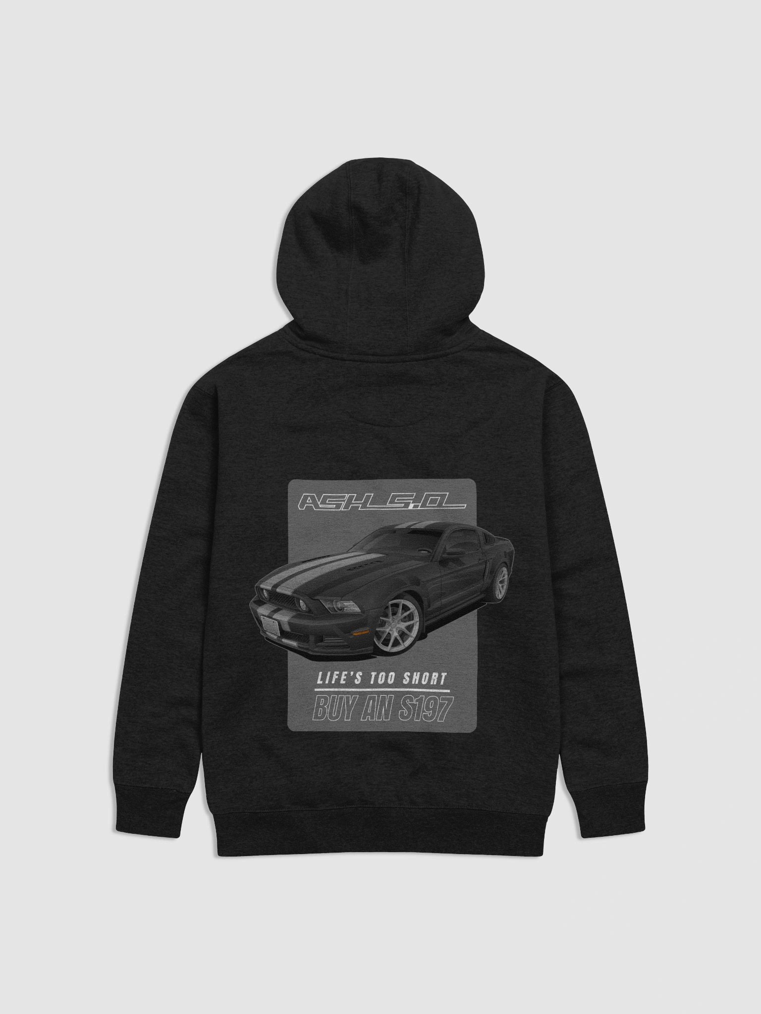 Hoodie - Ashton's S197 product image (2)