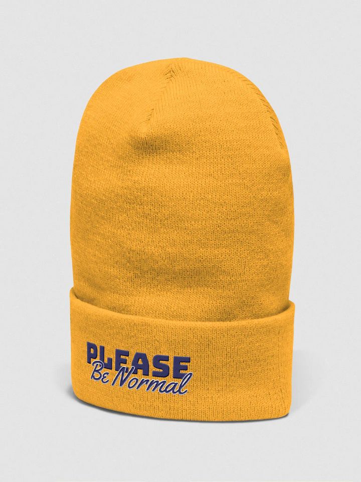 The Beanie product image (10)