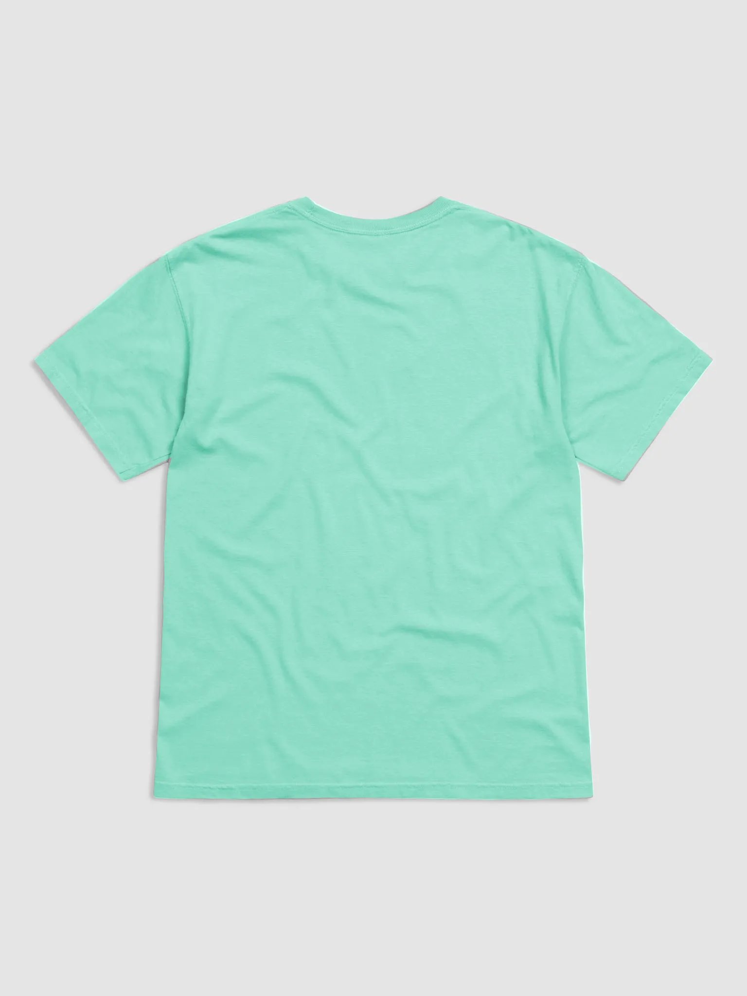CS Heavyweight T-Shirt product image (2)