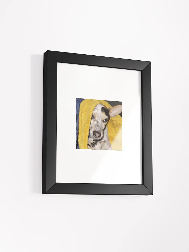 Bronx the Adorable product image (4)