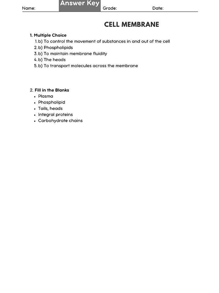 Cell Membrane Structure & Function Worksheet product image (2)
