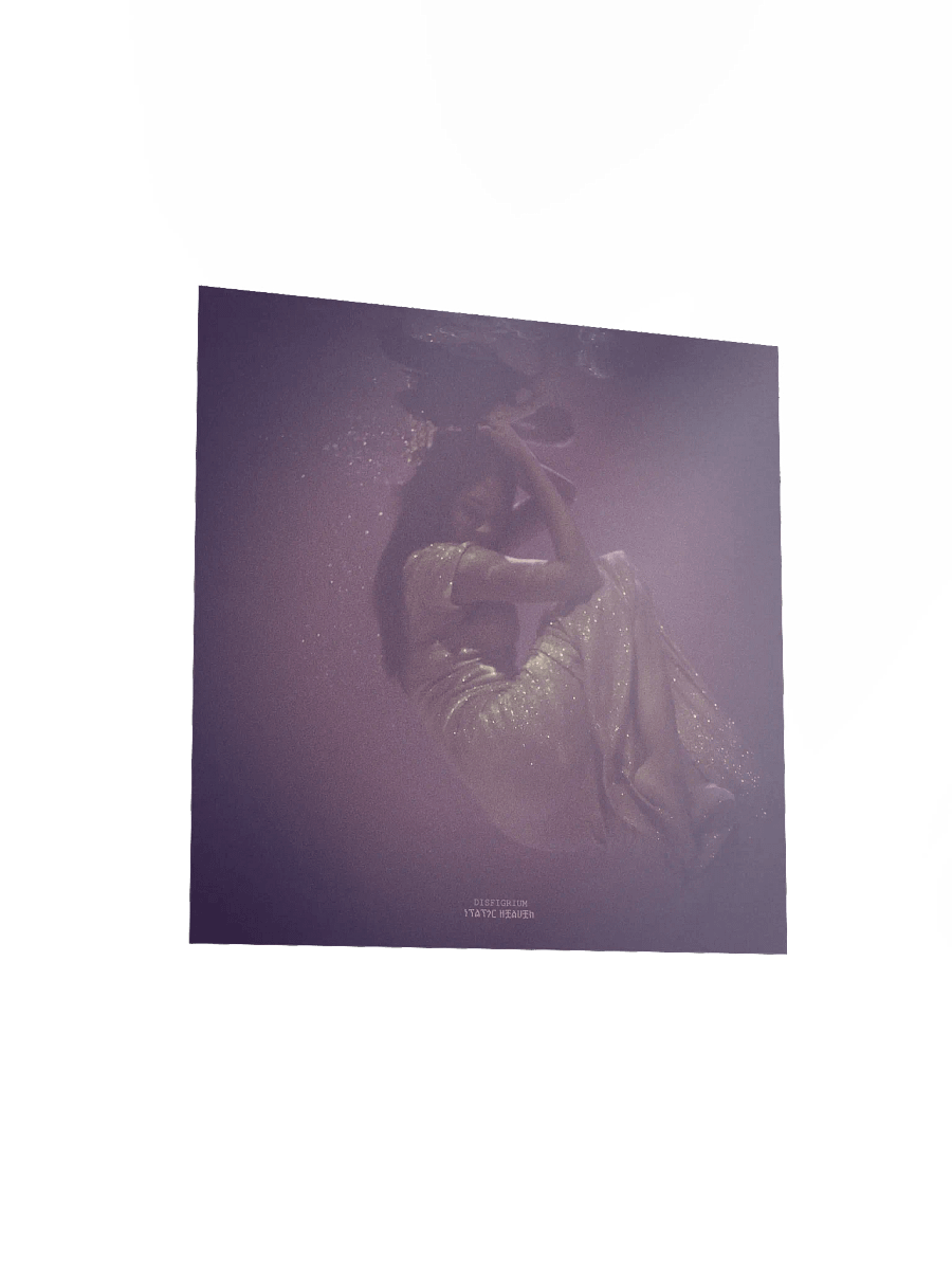Static Heaven Matte Poster product image (3)
