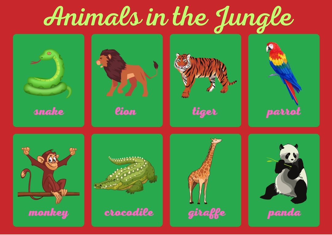 Animals Flash Cards for kids product image (1)