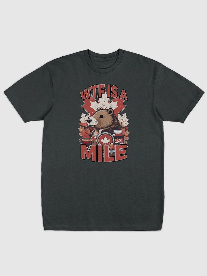 WTF is a Mile product image (1)