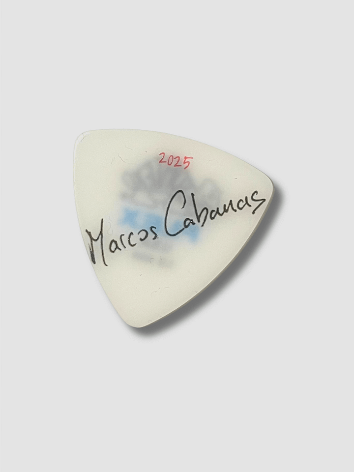 Stage-Used Guitar Pick product image (2)