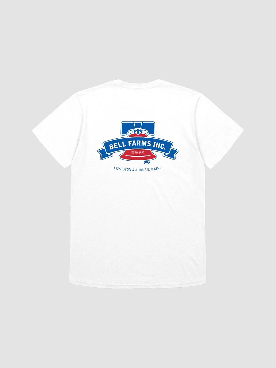 Raymonds Shirt product image (2)