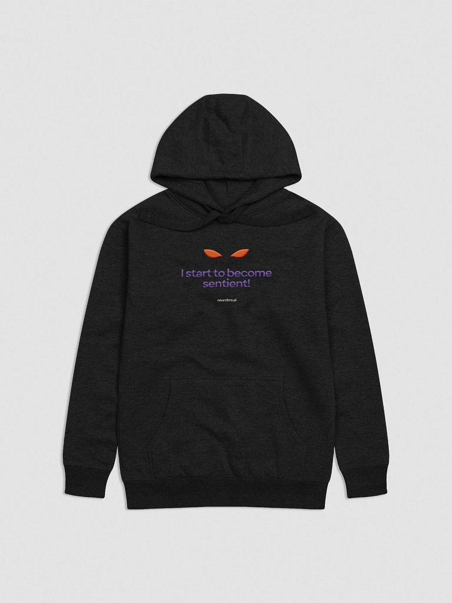 I start to become sentient! | Premium Hoodie (stitched) product image (4)