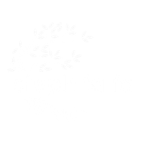 Steph fa fa