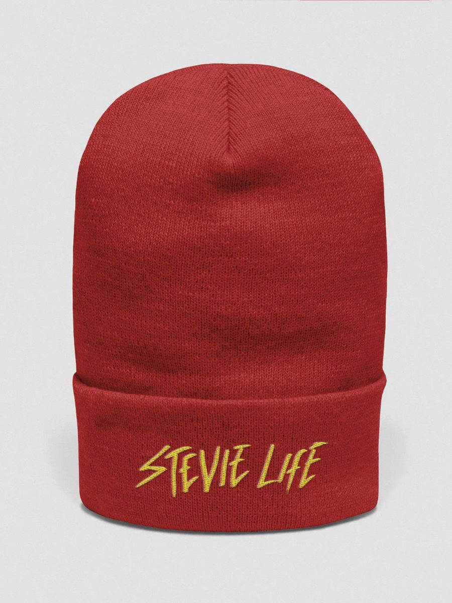 Stevielife Beanie product image (9)