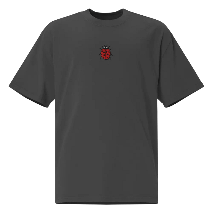 Ladybug Love Oversized Tee product image (1)