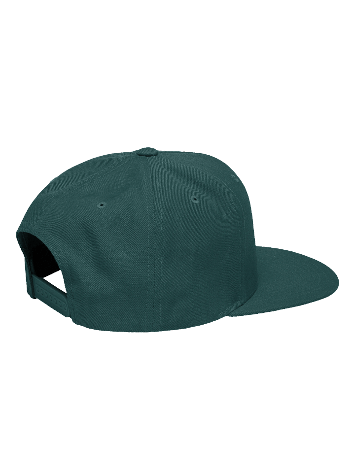 Cast Snapback — in Spruce + Whisper White product image (2)