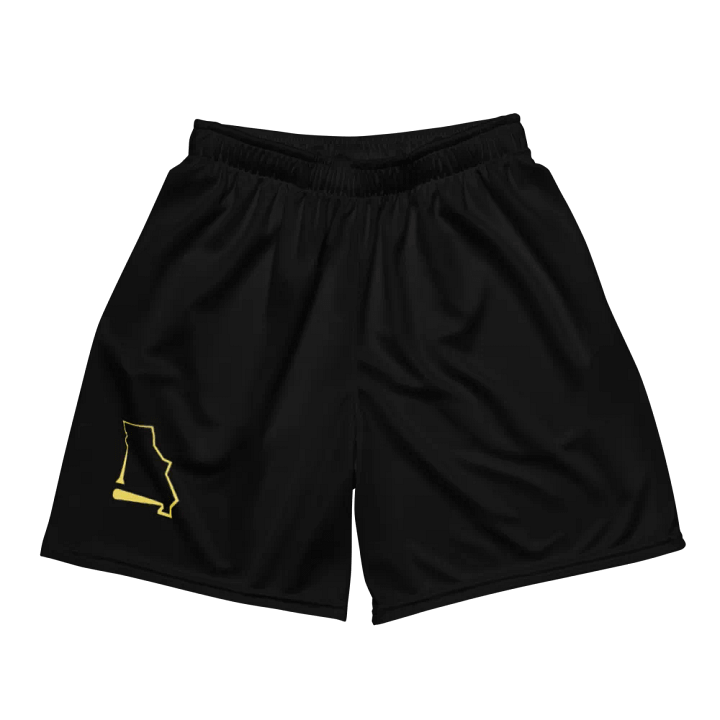 SWBL Shorts product image (2)