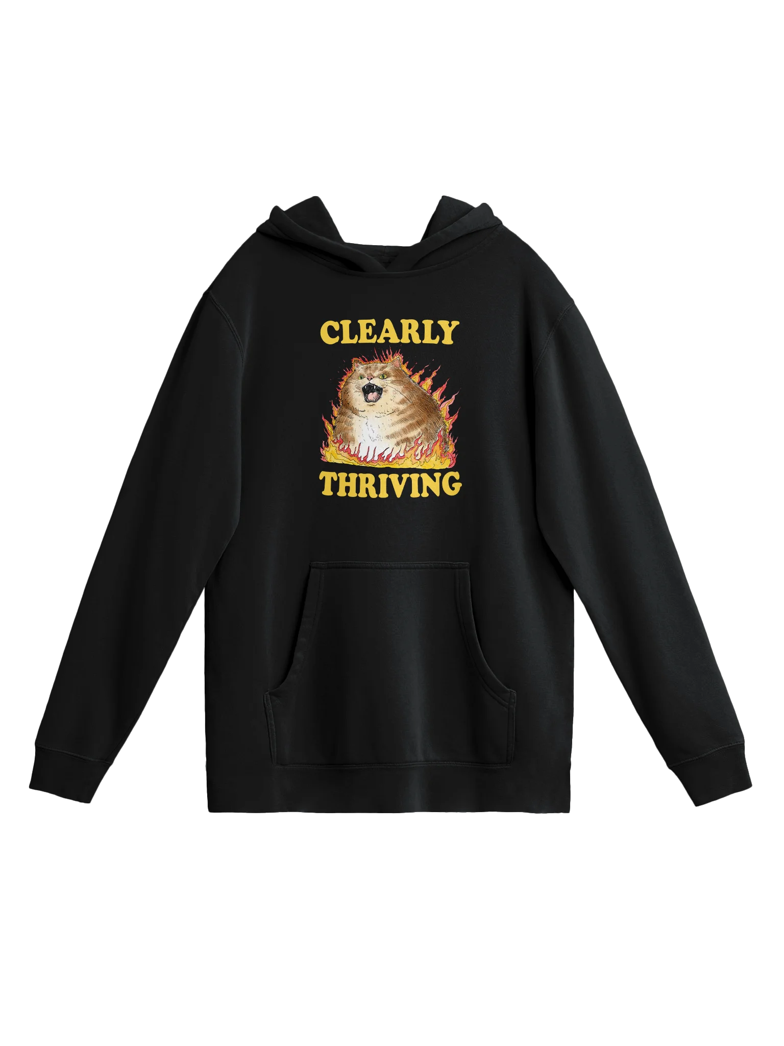 Clearly Thriving - Hoodie product image (1)
