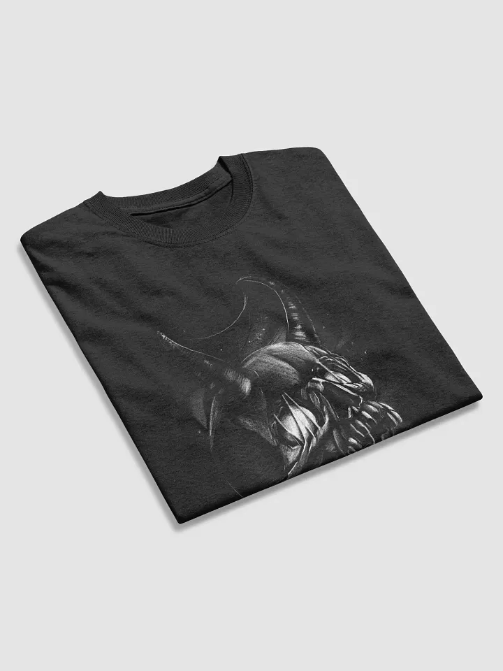 Divine Warrior Guardian T-Shirt product image (2)