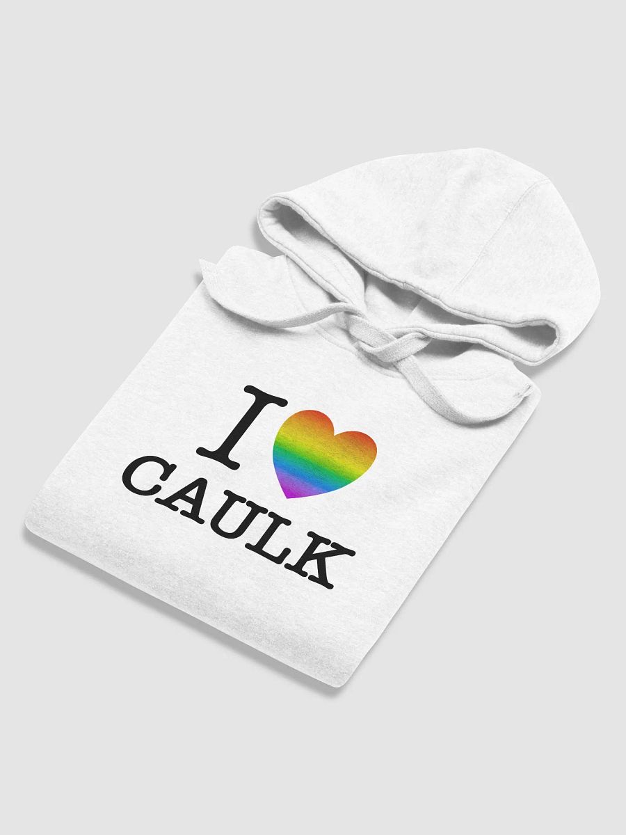 I LOVE CAULK Rainbow / Light Premium Hoodie product image (3)