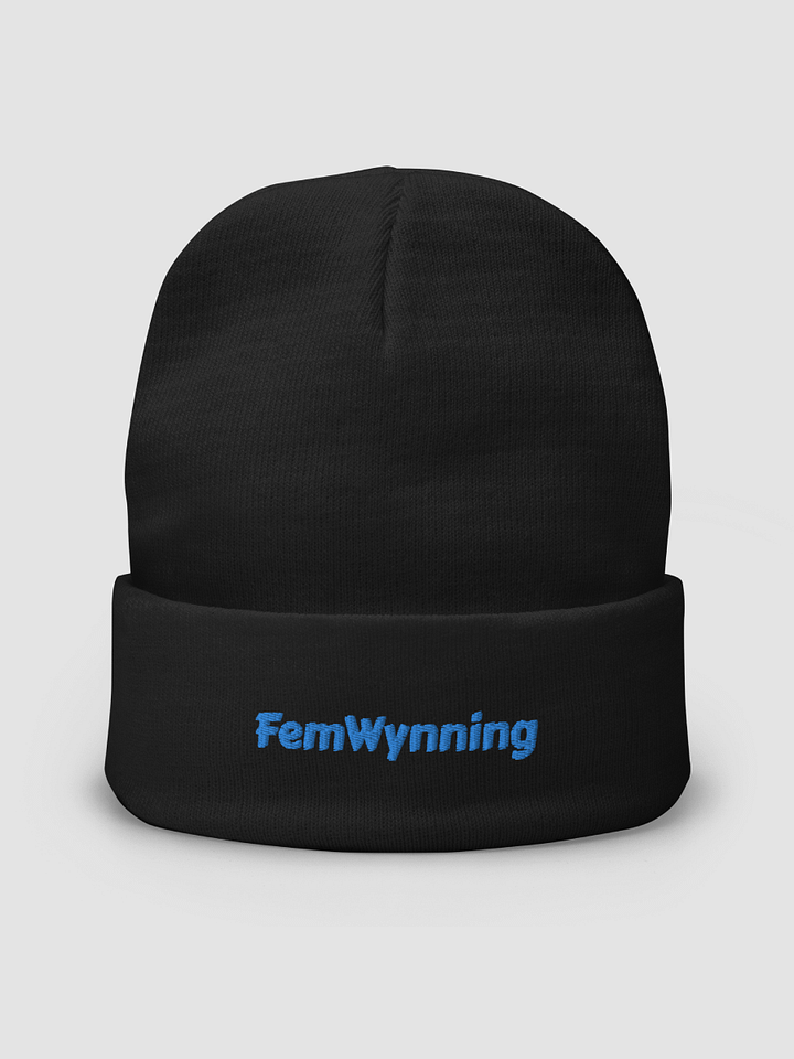 FemWynning Beanie product image (2)
