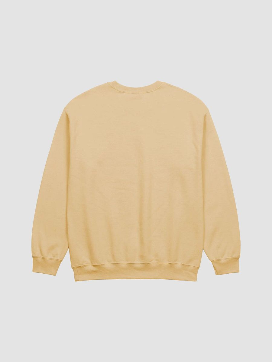 Joy Is Free Racecar - Light Crewneck product image (3)