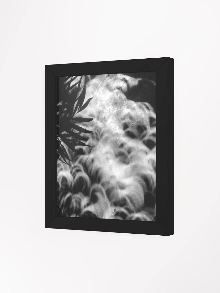 Crescents of Light from the Eclipse - Print 2 - Framed Poster product image (3)